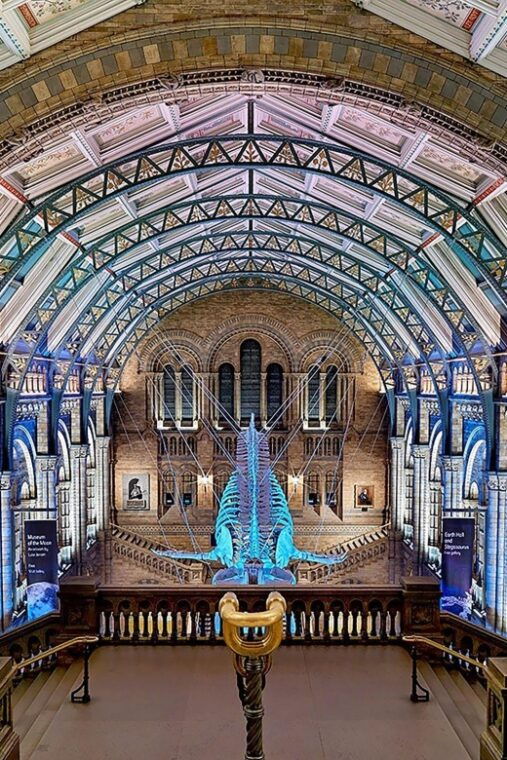 natural-museum-tour-volcanoes-earthquakes-blue-whale