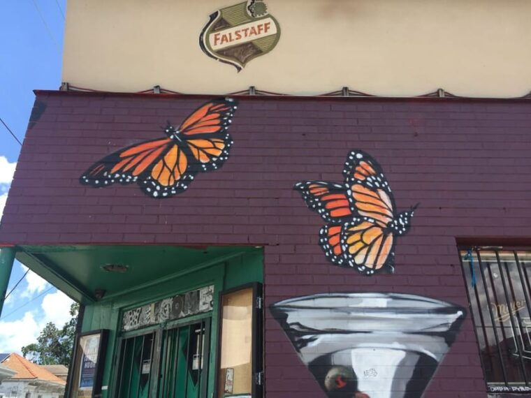 new-orleans-45-minutes-in-the-marigny-triangle