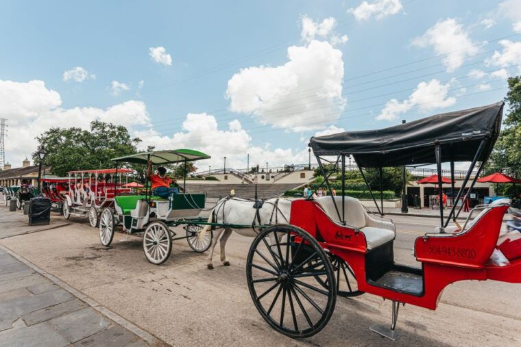 new-orleans-city-sightseeing-hop-on-hop-off-bus-tour-2