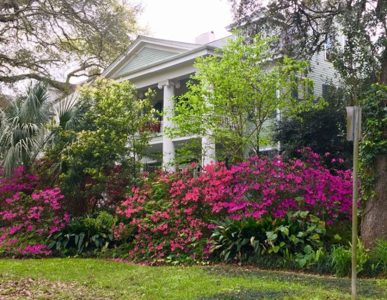 new-orleans-traditional-city-and-estate-tour