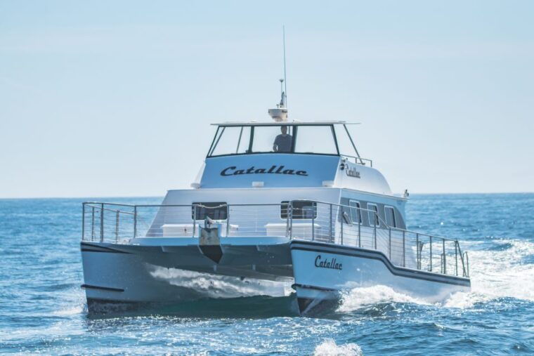 newport-beach-luxury-whale-watching-catamaran-cruise