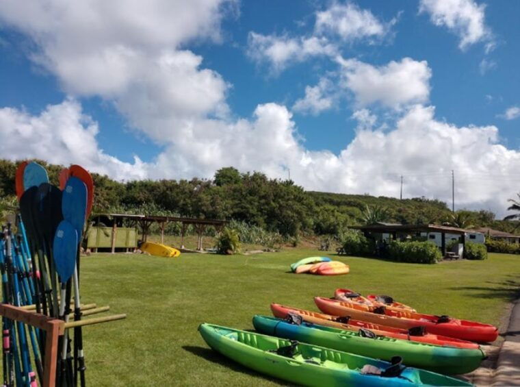 north-shores-best-day-river-turtles-farm-with-lunch