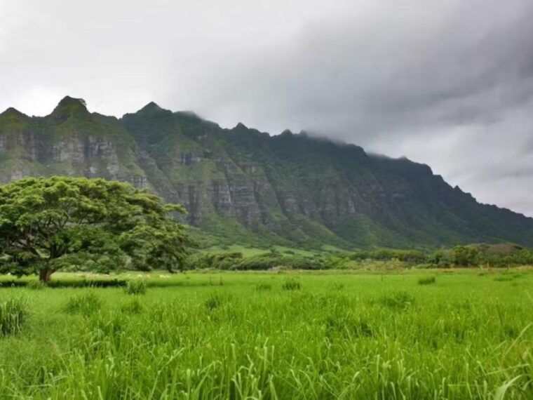 oahu-custom-private-island-tour-of-oahu