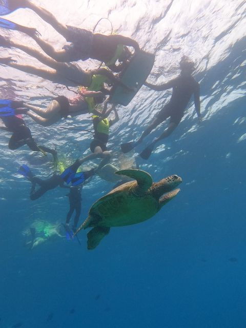 oahu-snorkeling-with-turtles-water-scooter-paddleboard