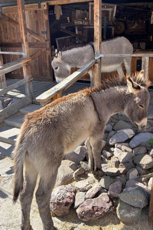 oatman-rt66-3-in-1-combo-tour