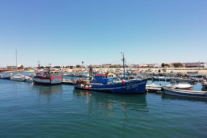 olhao-authentic-tour-market-and-ria-formosa-natural-park