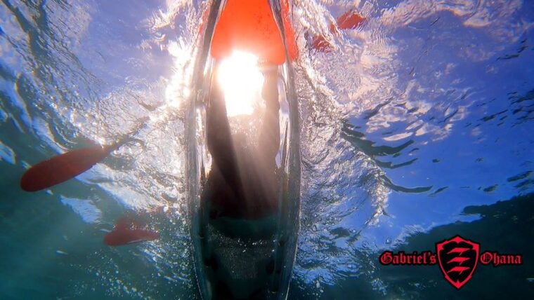 olowalu-guided-tour-over-reefs-in-transparent-kayak