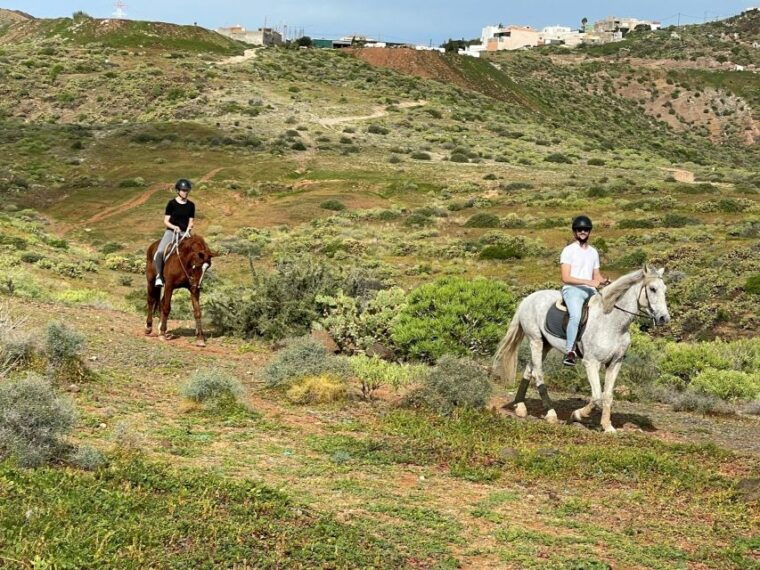 one-hour-horse-riding-tour-in-gran-canaria