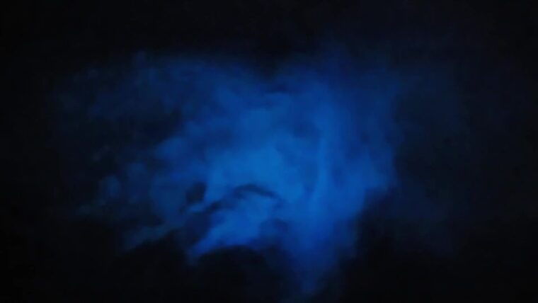 orlando-bioluminescence-kayak-adventure