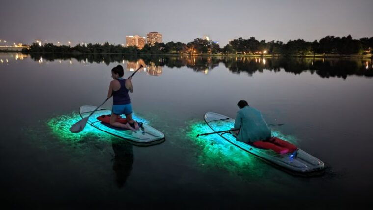 orlando-led-night-glow-clear-kayak-or-paddleboard-tour
