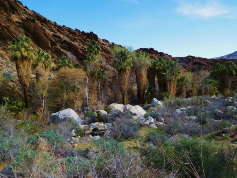 palm-springs-indian-canyons-hiking-tour-by-jeep