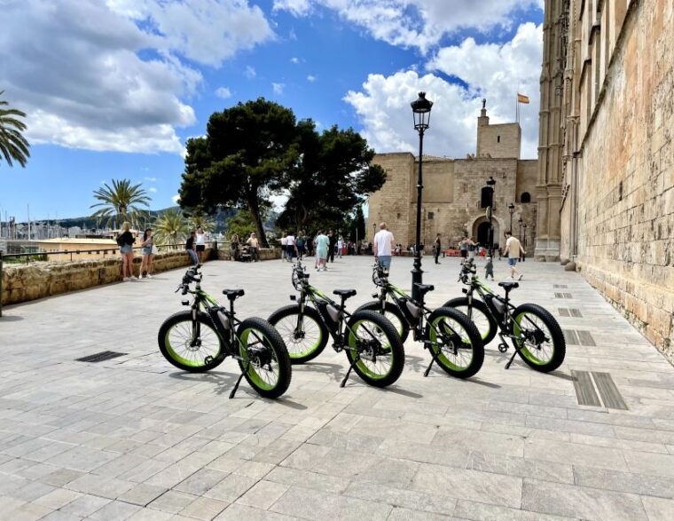 palma-guided-city-tour-with-a-fat-tire-e-bike