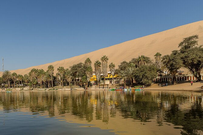 paracas-ica-and-huacachina-day-trip-from-lima-mini-galapagos