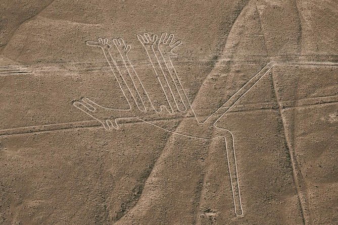 paracas-shore-excursion-nazca-lines-tour