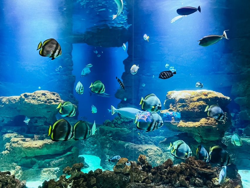 paris-aquarium-de-paris-entrance-ticket