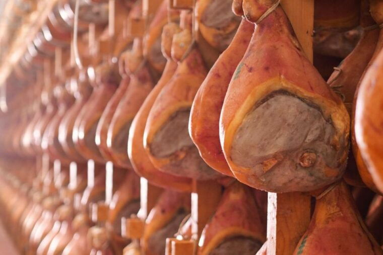 parma-cheese-ham-wineyard-tour-with-tastings