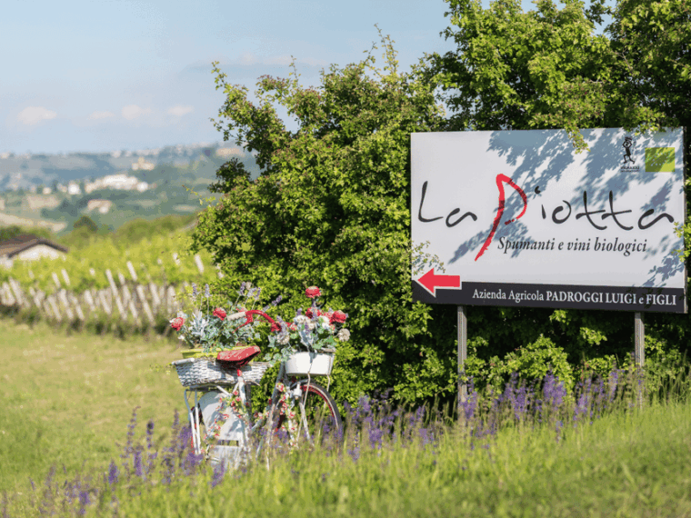 pavia-organic-winery-visit-wine-tasting-with-food-platter