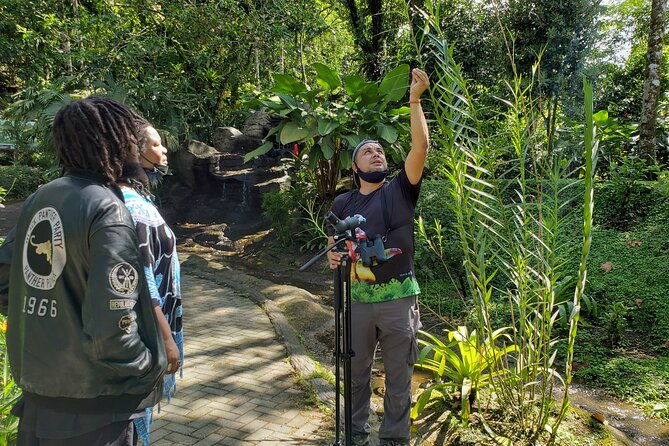 peak-pursuit-embark-on-the-arenal-volcano-hike-expedition