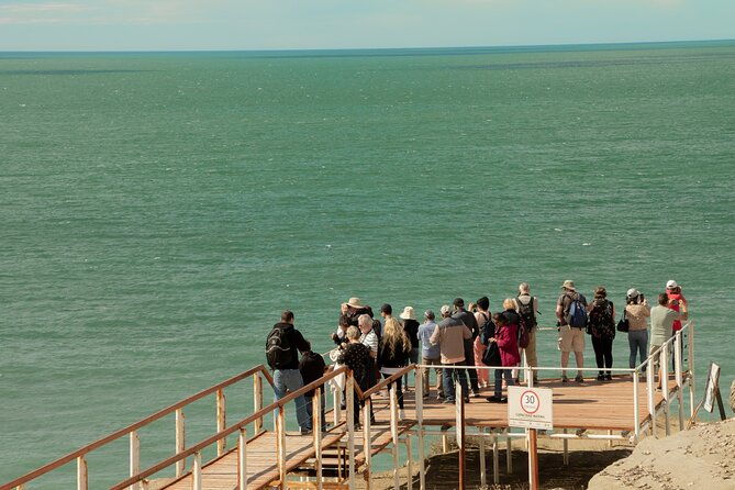 peninsula-valdes-puerto-madryn-shared-tour-for-cruises