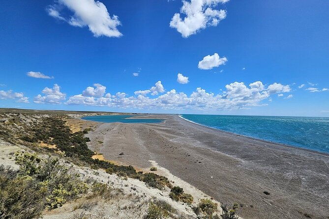 peninsula-valdes-tour-for-cruise-passengers