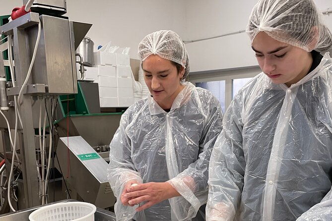 pisa-small-group-cheese-making-tasting-experience-max-6people