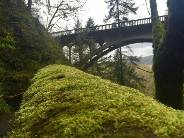 portland-columbia-river-gorge-3-hour-small-group-tour