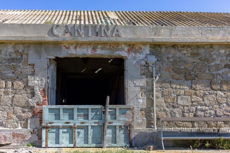 porto-torres-rent-your-mountain-bike-to-discover-asinara