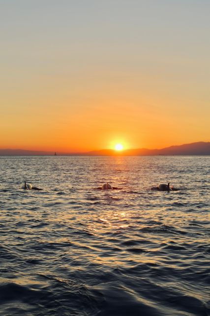 portofino-sunset-cruise-with-aperitif