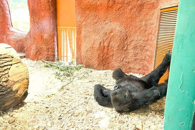 prague-zoo-admission-ticket-with-transfer-and-audio-guide