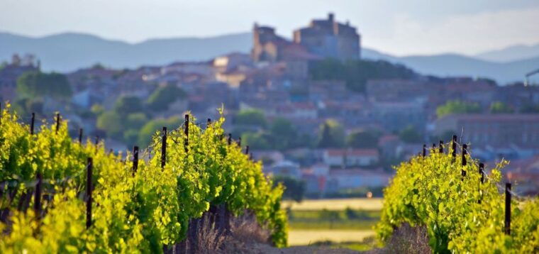 premium-wine-tour-of-rioja-with-gourmet-lunch-from-bilbao