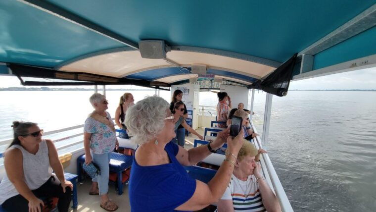 private-2-hour-dolphin-sightseeing-tour-melbourne