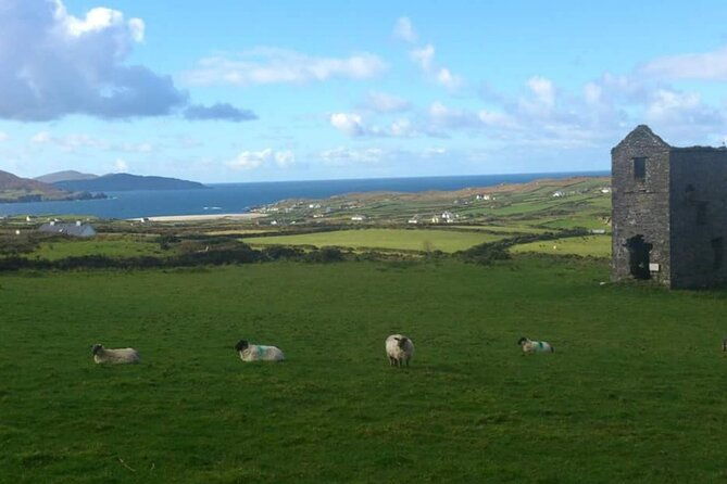 private-7-day-custom-luxury-car-mpv-tour-of-the-south-south-west-ireland