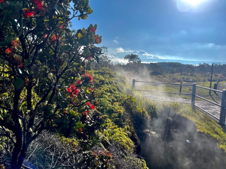 private-big-island-tourcoffee-beachesvolcanos-waterfall