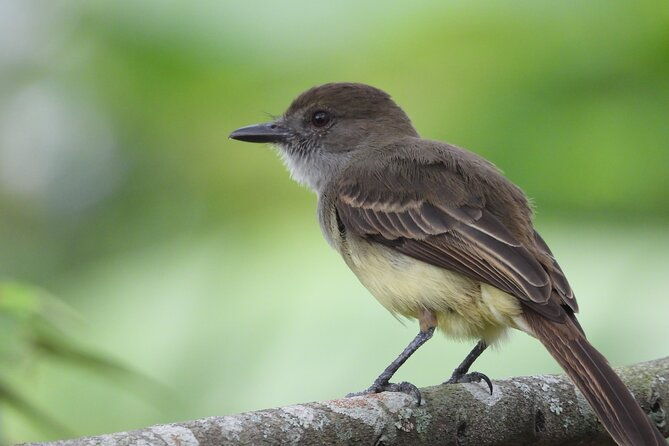 private-bird-watching-acacias-meta-finca-la-florida-apa