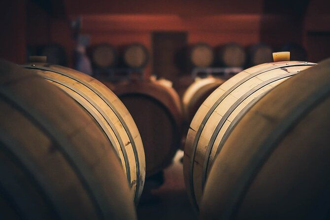 private-cretan-gastronomic-experience-winery-visit-with-tastings-cooking-class