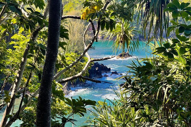 private-custom-van-full-day-guided-tour-on-big-island-of-hawaii