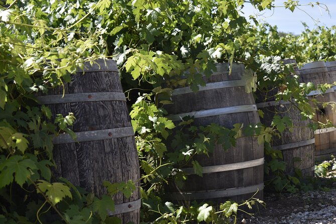 private-customized-sonoma-valley-wine-tour