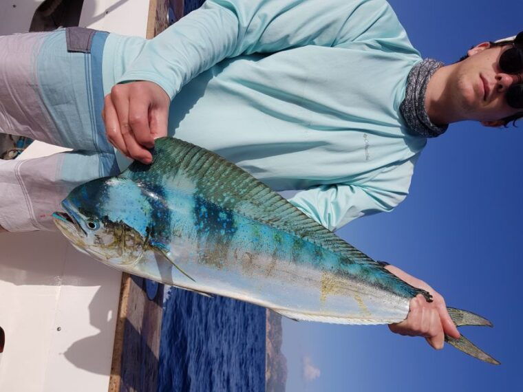 private-fishing-charter-mallorca