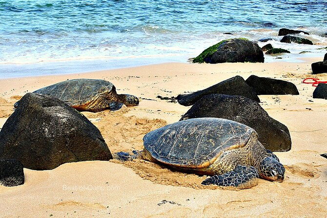 private-full-day-town-and-country-tour-of-oahu