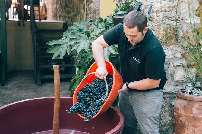 private-grape-stomping-in-chianti-from-siena