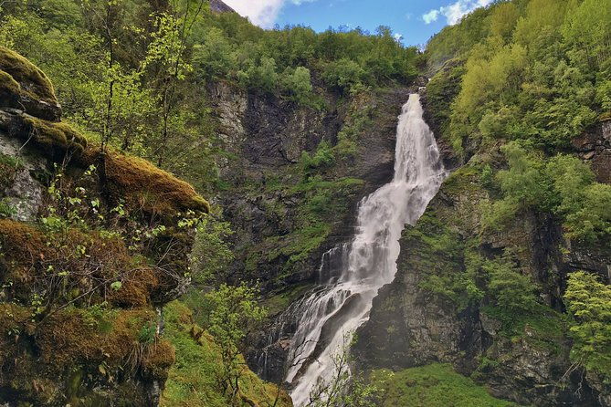 private-guided-tour-the-heart-of-norway-viking-special-8-9-hours-summer