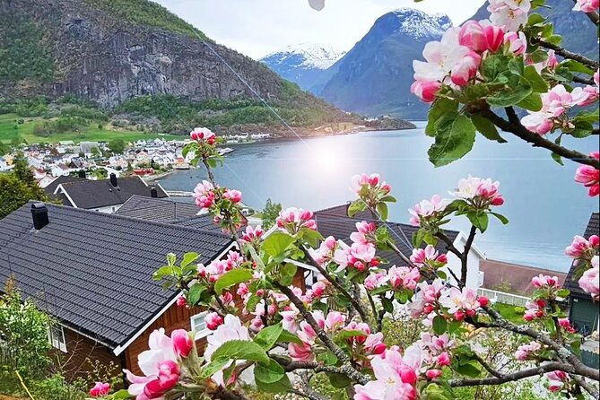 private-guided-tour-to-oslo-naeroyfjord-cruise-and-flam-railway