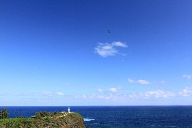 private-kauai-island-tour-waimea-canyon-kalalau-lookout-more