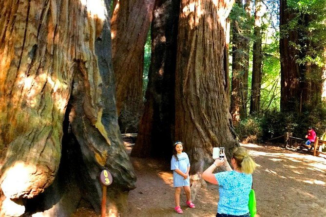 private-redwoods-tour-beach-horseback-riding-experience-from-san-francisco