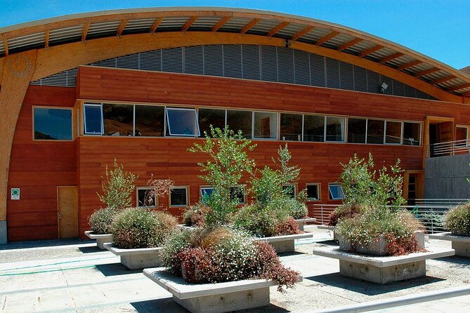 private-san-antonio-port-visit-chocalan-winery-transfer-hotel