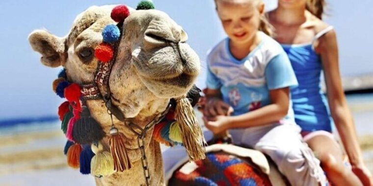 private-tangier-tour-from-gibraltar-including-camel-lunch