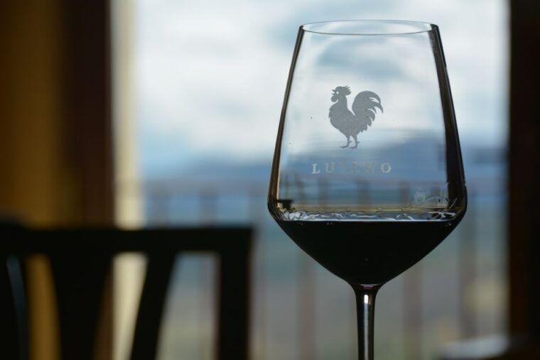 private-tour-and-wine-tasting-at-castle-wineries-in-chianti