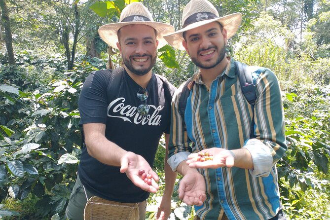 private-tour-coffee-plantation-coloma-transportation-lunch