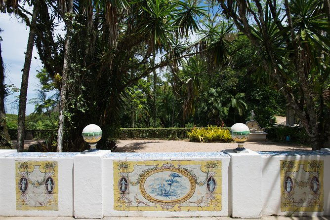 private-tour-tijuca-national-park-with-a-photographer