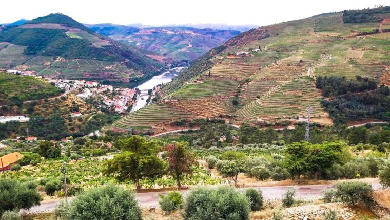 private-tour-to-stunning-douro-valley-and-renowned-wineries